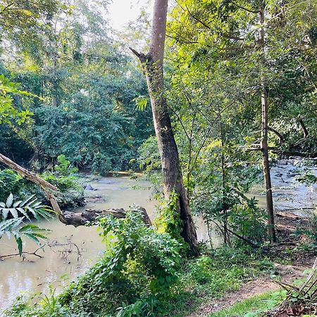 Yala River View Cabana Tissamaharama Bagian luar foto