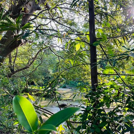 Yala River View Cabana Tissamaharama Bagian luar foto