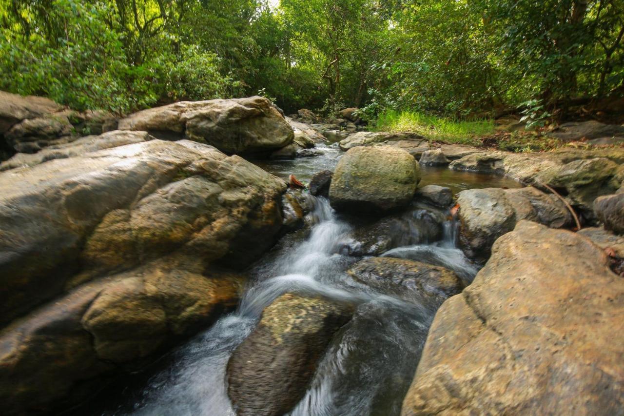 Yala River View Cabana Tissamaharama Bagian luar foto