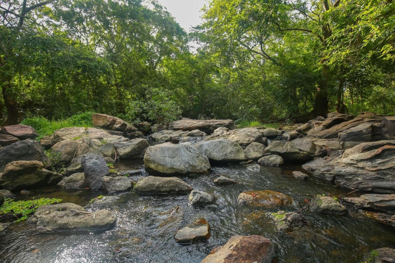 Yala River View Cabana Tissamaharama Bagian luar foto