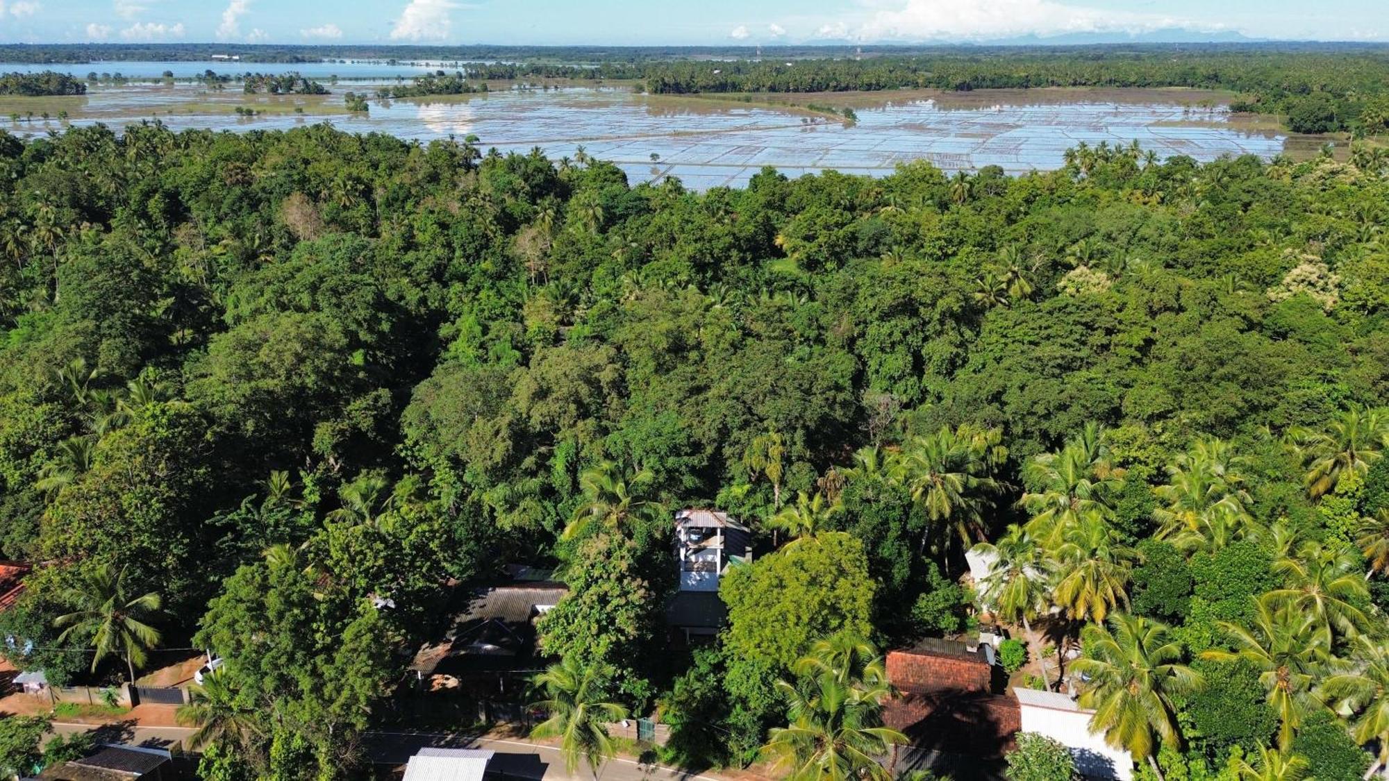 Yala River View Cabana Tissamaharama Bagian luar foto