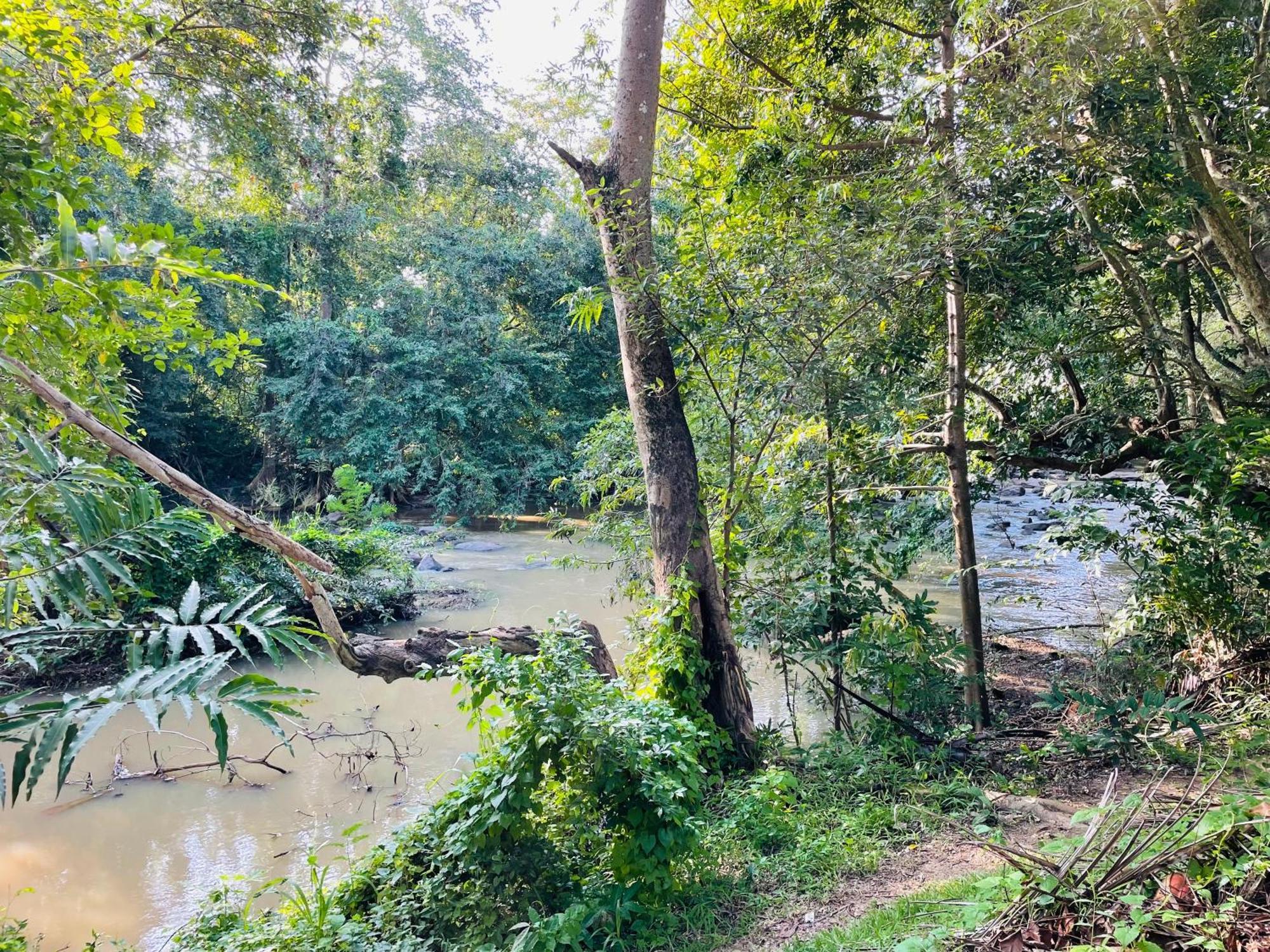 Yala River View Cabana Tissamaharama Bagian luar foto