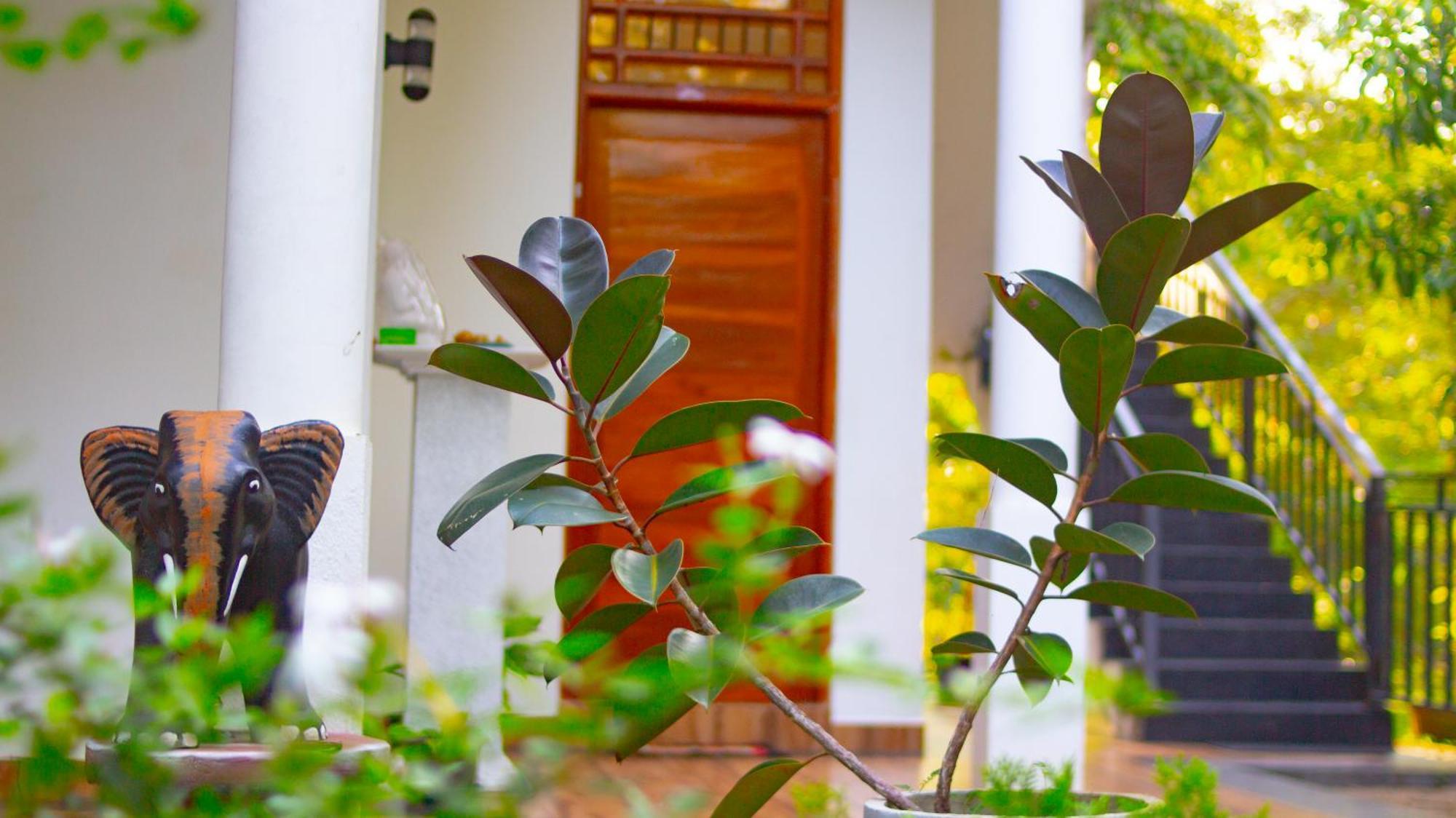 Yala River View Cabana Tissamaharama Bagian luar foto